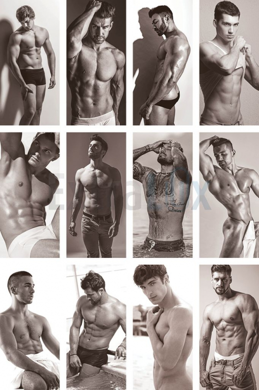 KOLEDAR MASCULINE 26-038 2026