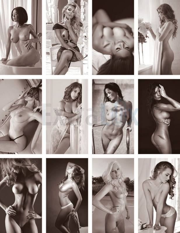 KOLEDAR FEMININE 26-035 2026