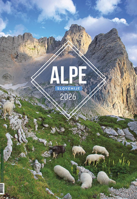 KOLEDAR ALPE SLOVENIJE 26-017 2026