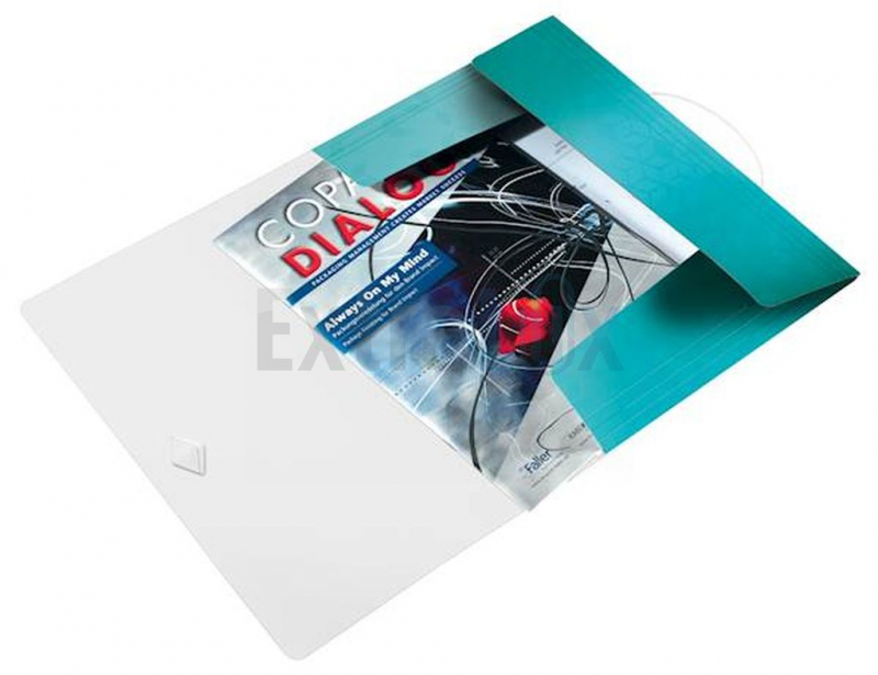 MAPA S KLAPO IN ELASTIKO PP A4 LEITZ WOW 4599