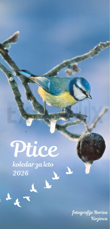 KOLEDAR PTICE 202232 2026