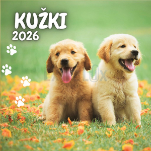 KOLEDAR KUŽKI 201210 2026