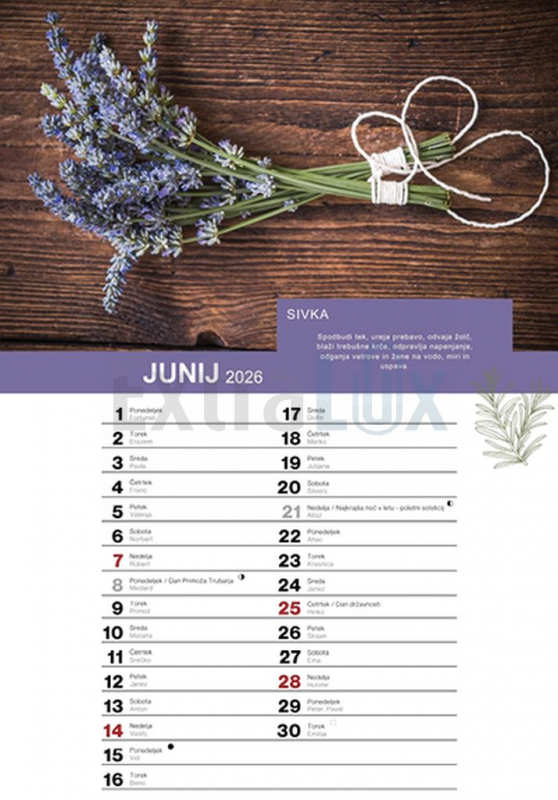 KOLEDAR ČAROBNE ZELI 2026