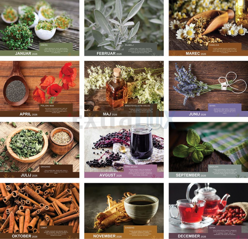 KOLEDAR ČAROBNE ZELI 2026