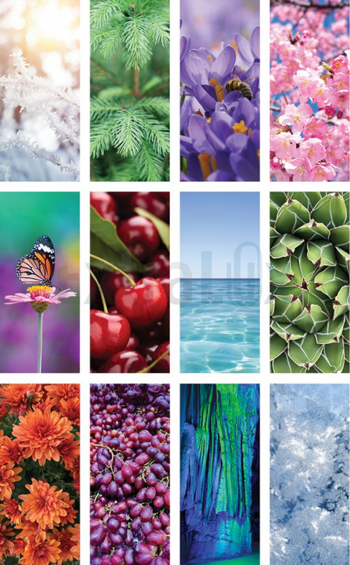 KOLEDAR BARVITOST SLOVENSKE NARAVE 2026