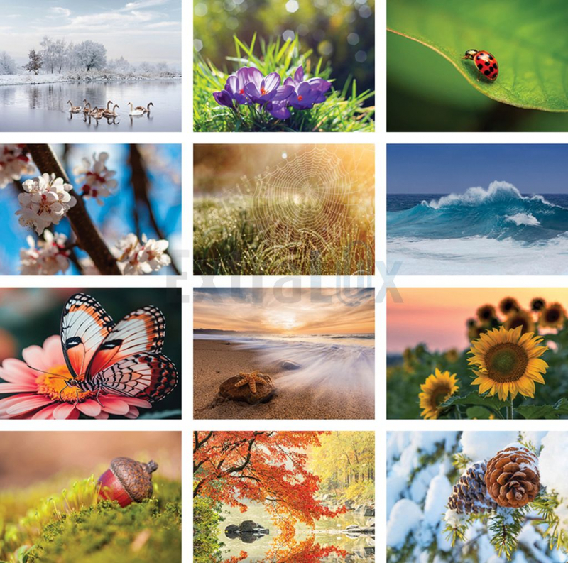 KOLEDAR NARAVA  2026