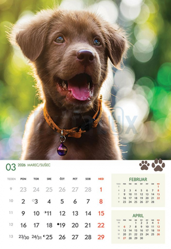 KOLEDAR KUŽKI IN MAČKE  2026