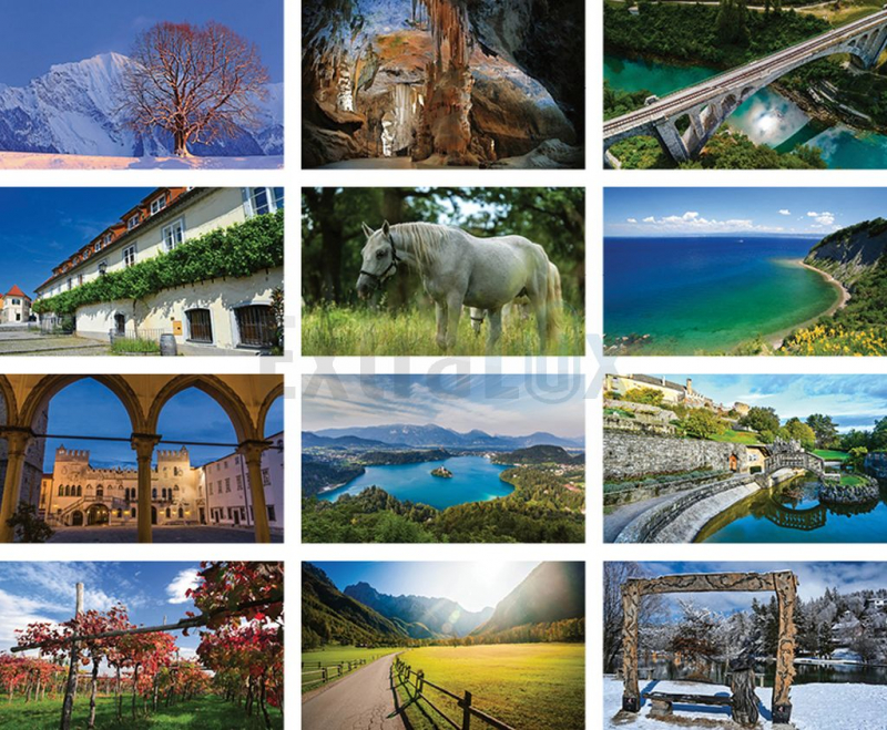 KOLEDAR SLOVENIJA, MOJA DEŽELA  2026