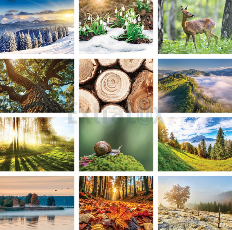 KOLEDAR ZELENI ZAKLADI   2026