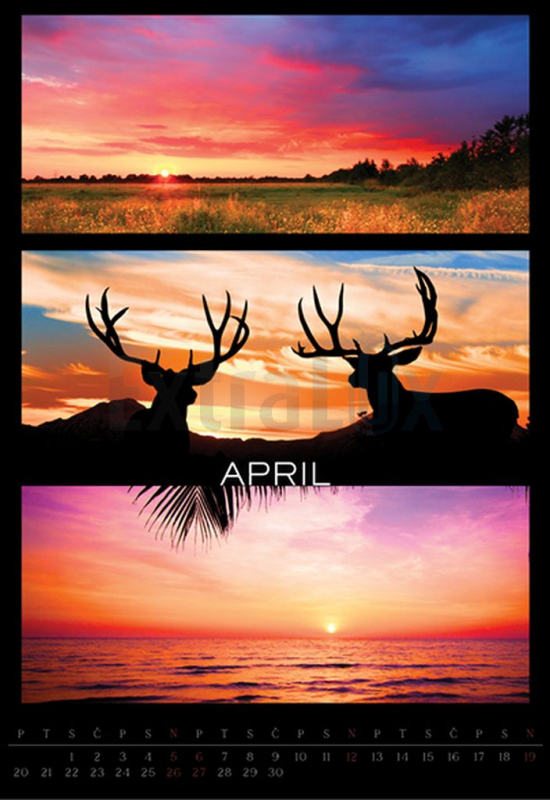 KOLEDAR BARVE NARAVE 2026