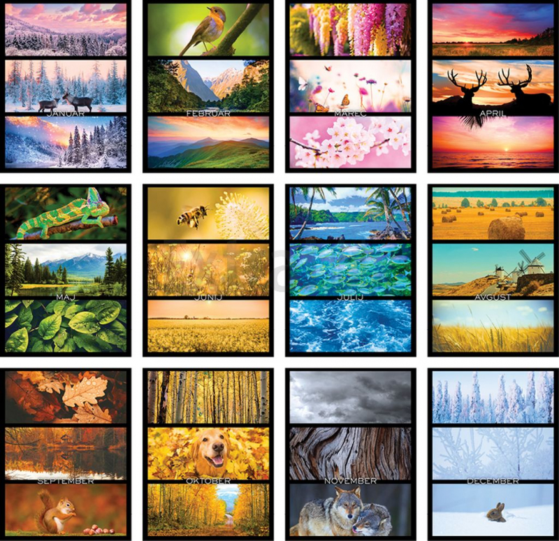 KOLEDAR BARVE NARAVE 2026