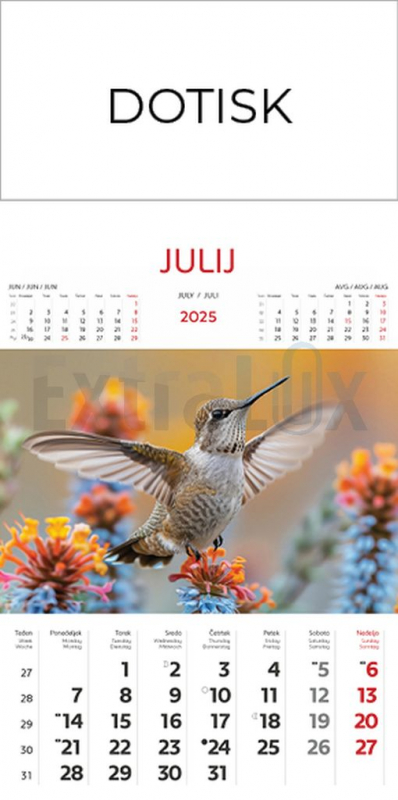 KOLEDAR TRIMESEČNI S SLIKO  2026