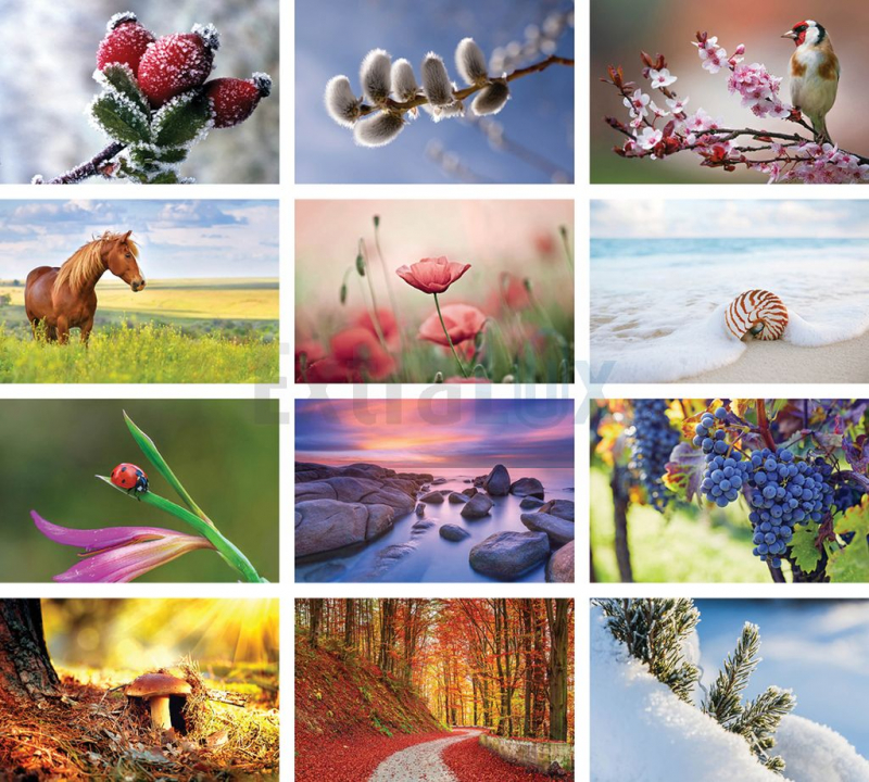 KOLEDAR TRIMESEČNI S SLIKO  2026