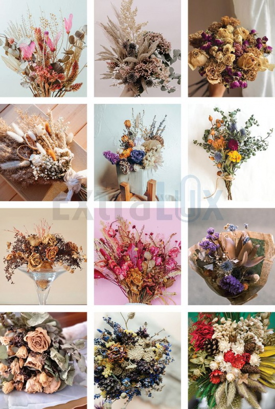 KOLEDAR SUHO CVETJE  2026