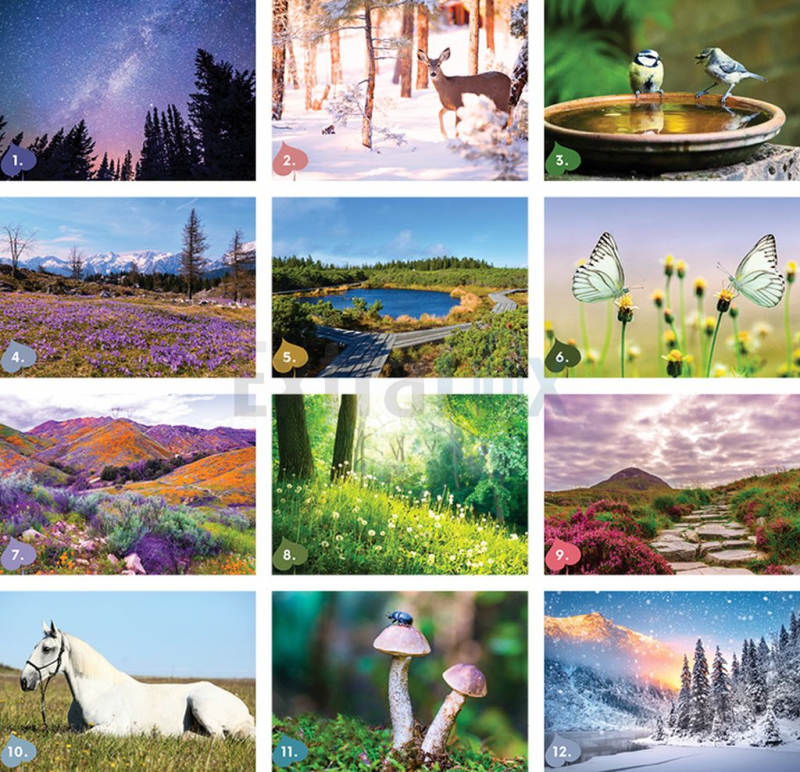 KOLEDAR NARAVA  2026