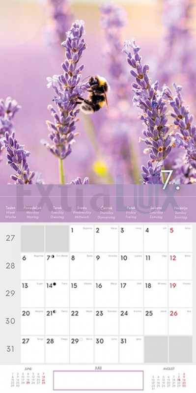 KOLEDAR CVETJE  2026