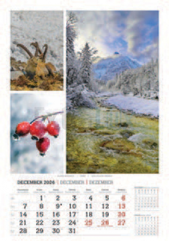 KOLEDAR LEPOTE GORA 2026