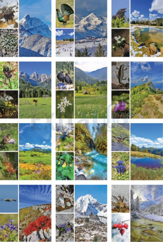 KOLEDAR LEPOTE GORA 2026