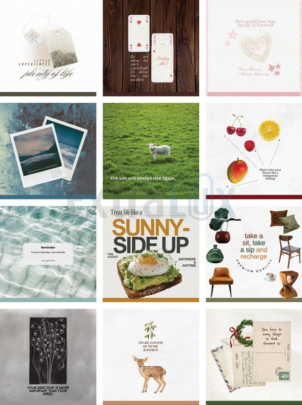 KOLEDAR MOTIVACIJSKI  2026