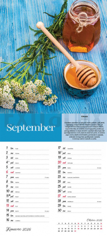 KOLEDAR ŠČEPEC ZDRAVJA 2026