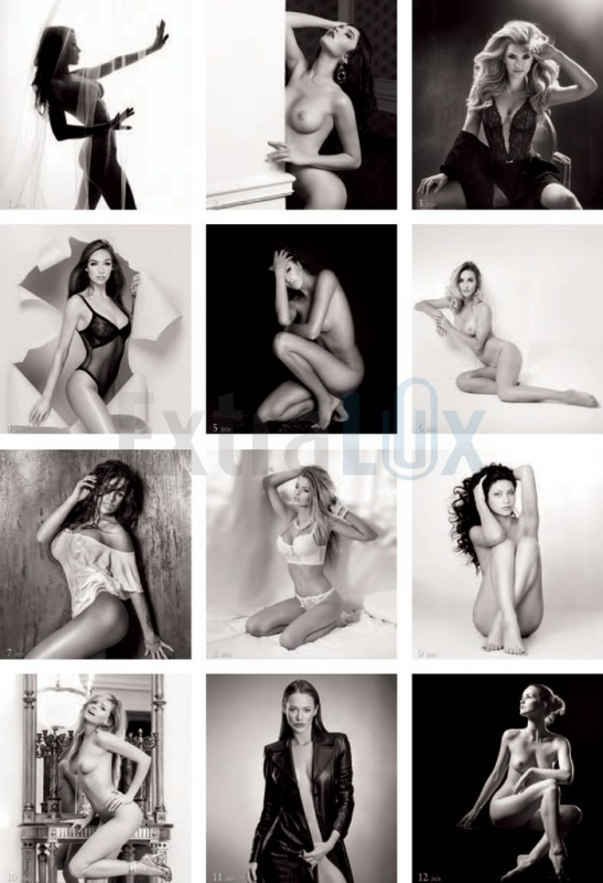 KOLEDAR ŽENSKE ČRNO-BELE  2026