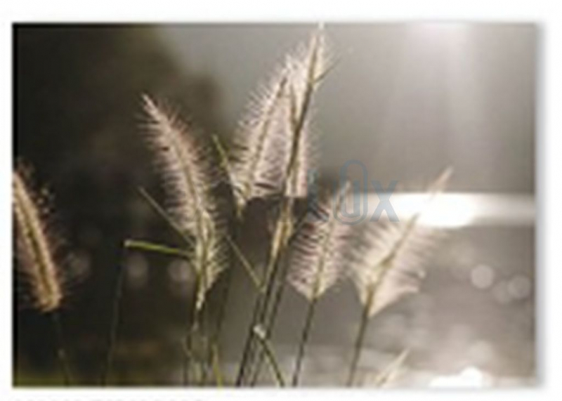 VOŠČILNICA ŽALNA 200002.72PS24-S05