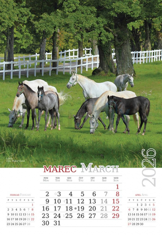 KOLEDAR LEPOTE SLOVENIJE 2026