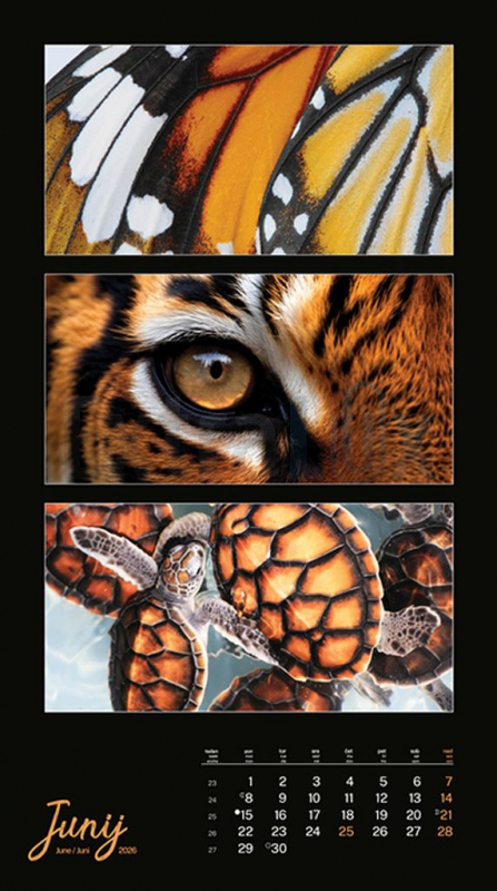 KOLEDAR BARVE NARAVE  2026