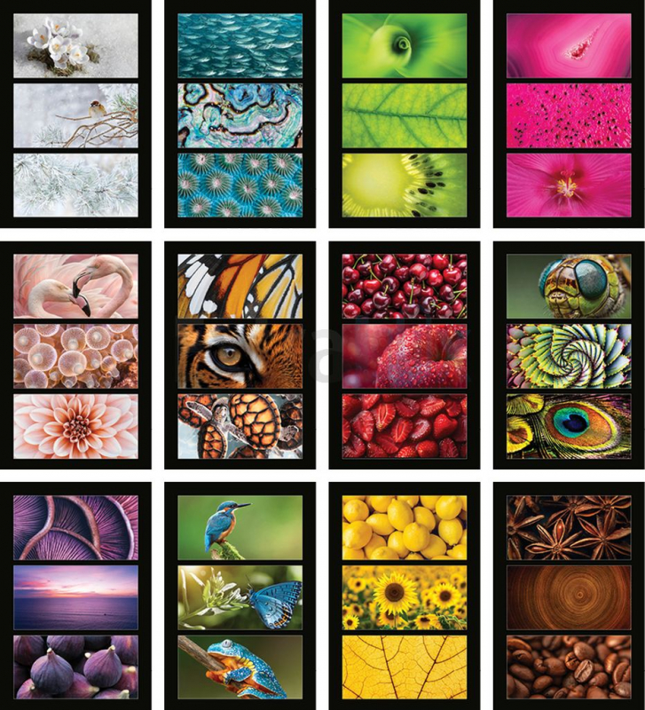 KOLEDAR BARVE NARAVE  2026