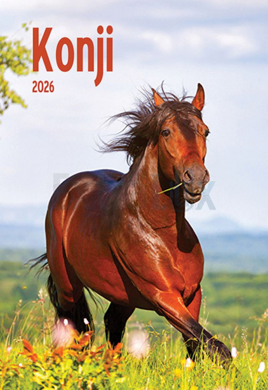 KOLEDAR KONJI 2026