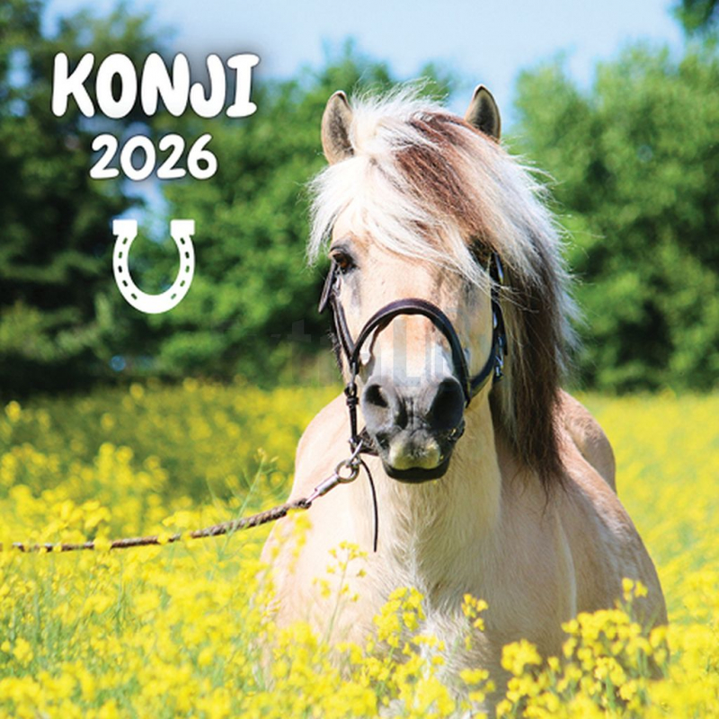 KOLEDAR KONJI  2026