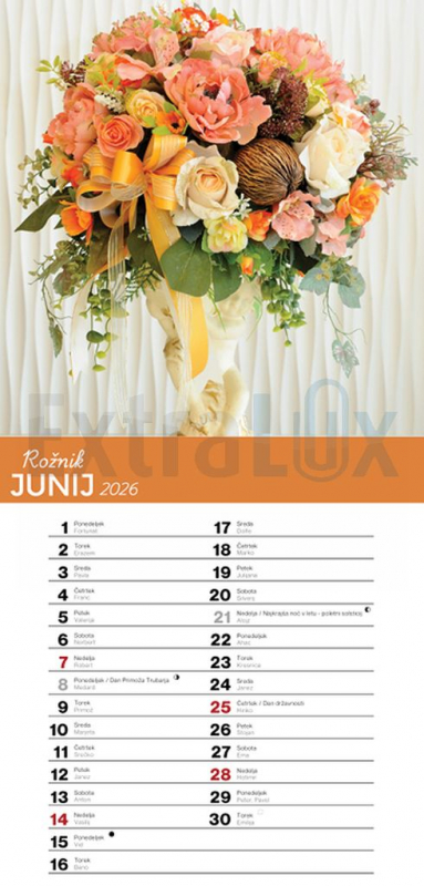 KOLEDAR ŠOPKI  2026